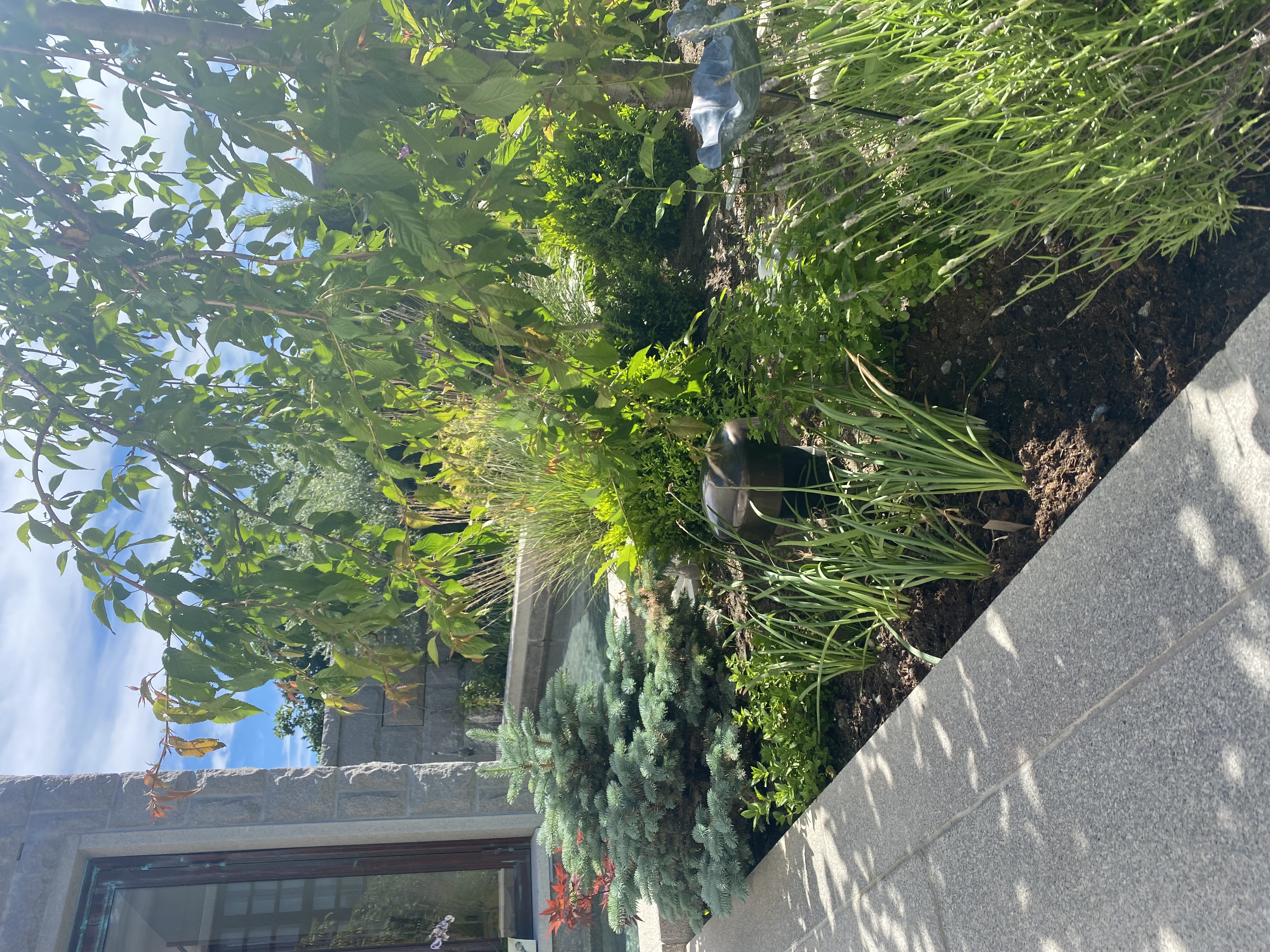 Terrass & uterum – Djursholm